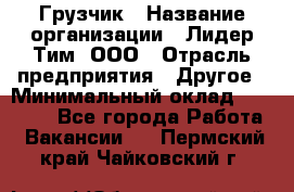 Грузчик › Название организации ­ Лидер Тим, ООО › Отрасль предприятия ­ Другое › Минимальный оклад ­ 11 000 - Все города Работа » Вакансии   . Пермский край,Чайковский г.